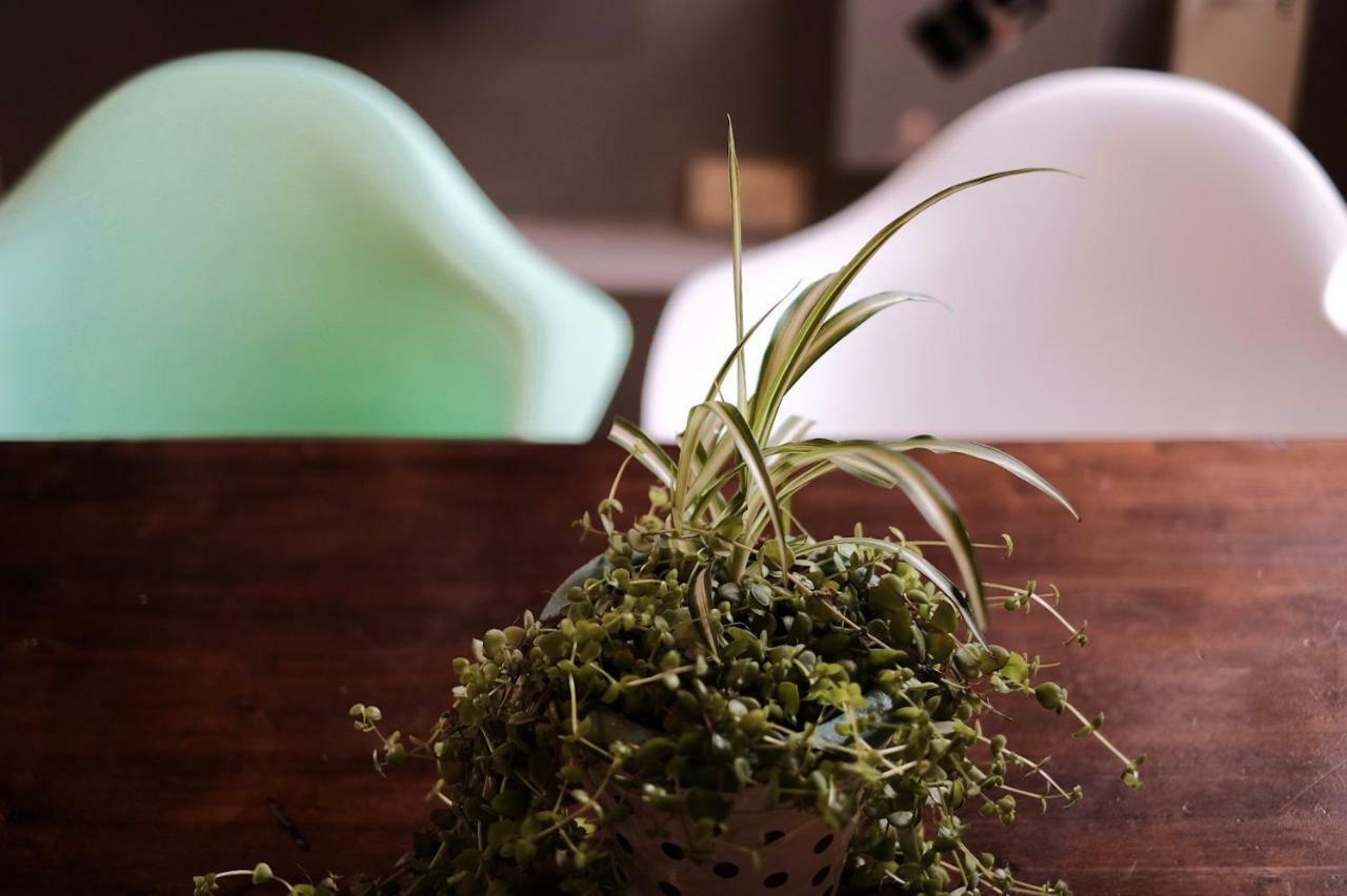 Leonidas Design Loft Mendoza Zewnętrze zdjęcie